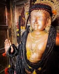 எல்லை இல்லா மகிழ்ச்சியோடு பக்தர்களாகிய நீங்கள் முருகப்பெருமானைக் காண ஓடி வருகிறீர்கள்.